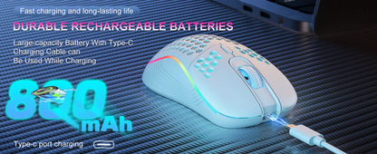 2.4G Wireless Mouse with RGB Backlit 6-button 3-speed DPI Type C Rechargeable Ergonomic Honeycomb Design Gaming Mous